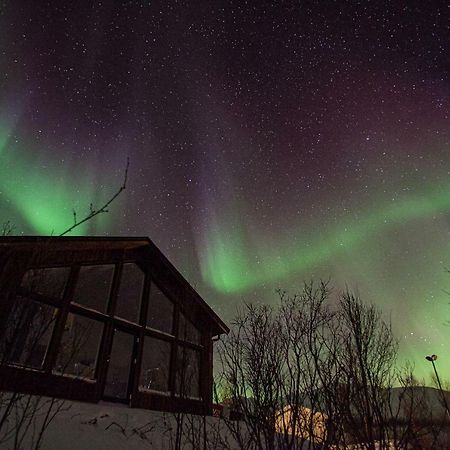 Aurora View Cabin Lyngseidet Εξωτερικό φωτογραφία
