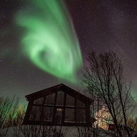Aurora View Cabin Lyngseidet Εξωτερικό φωτογραφία