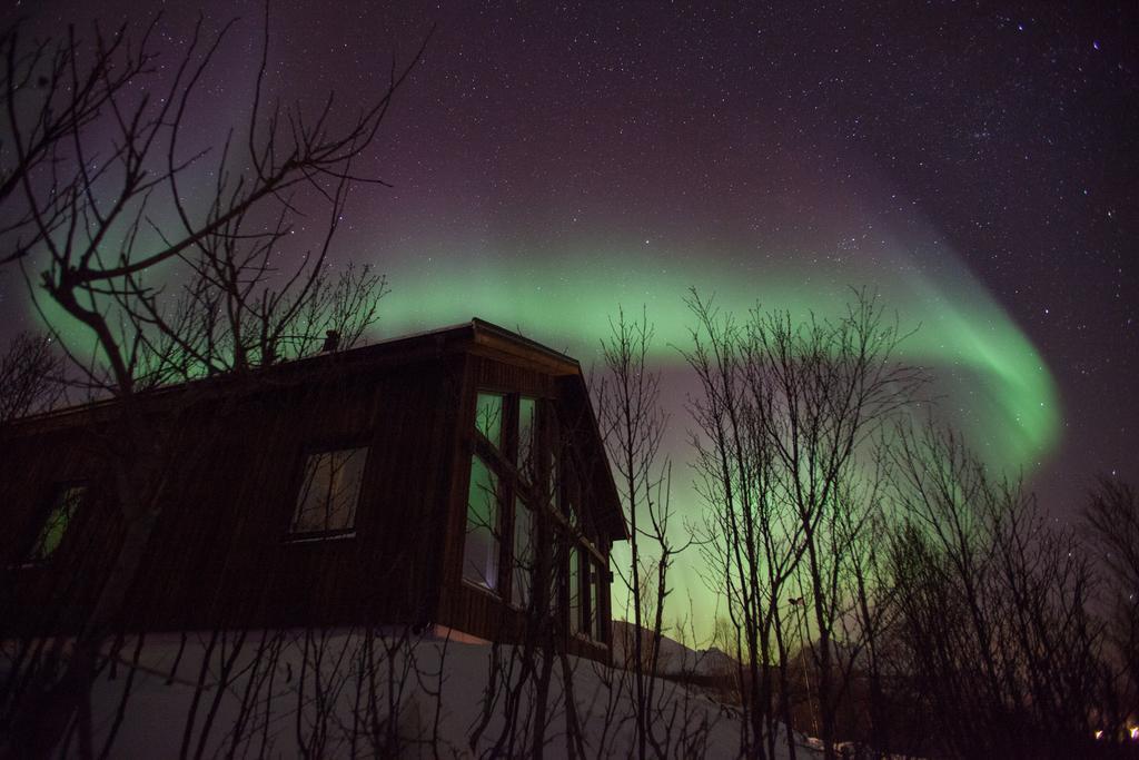 Aurora View Cabin Lyngseidet Εξωτερικό φωτογραφία