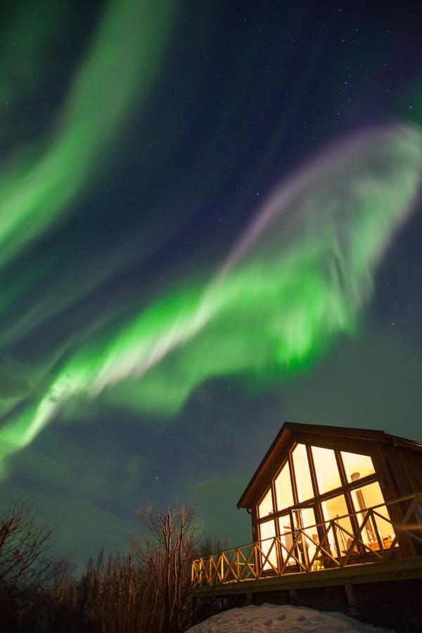 Aurora View Cabin Lyngseidet Εξωτερικό φωτογραφία