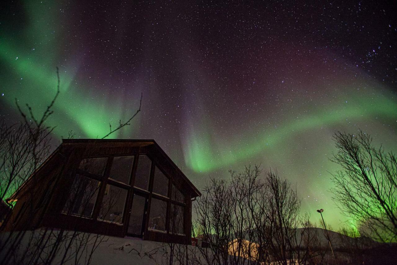 Aurora View Cabin Lyngseidet Εξωτερικό φωτογραφία