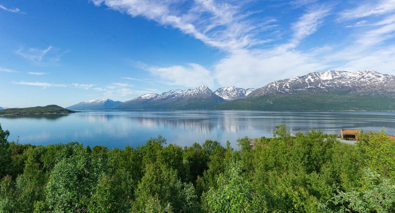 Aurora View Cabin Lyngseidet Εξωτερικό φωτογραφία