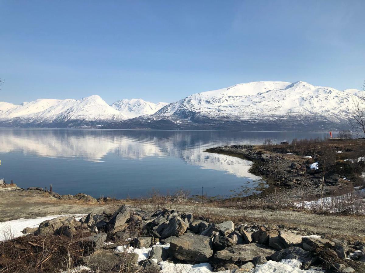 Aurora View Cabin Lyngseidet Εξωτερικό φωτογραφία